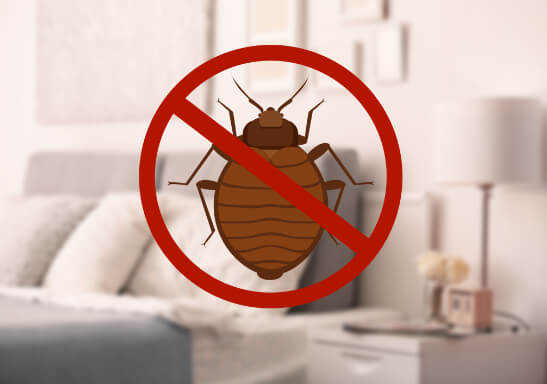 Bed Bug Pest Control Services In Fort Myers FL