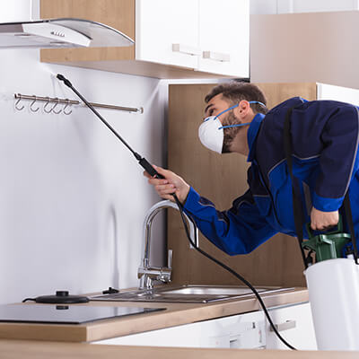 Home Interior Pest Control Treatment In Fort Myers FL