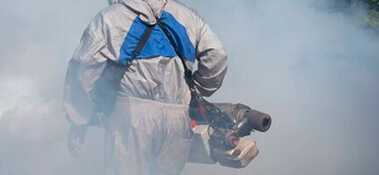Mosquito Removal Services In Fort Myers F