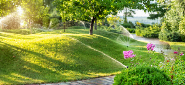 Lawn Care Services In Fort Myers FL