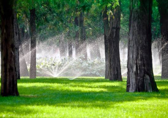 Wet Check - Sprinklers Services In Fort Myers FL